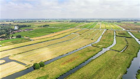 polder meaning in malayalam|Polder in Malayalam .